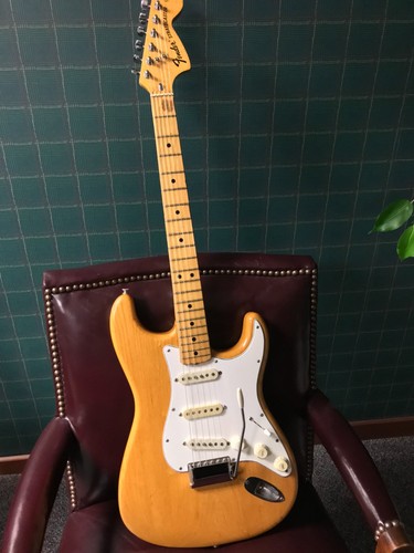 Vintage 1973 fender - vintage,